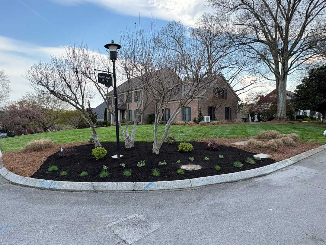 Landscaped island bed with lamp post